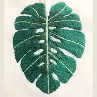 bordado à mão de uma folha de costela de adão sobre tecido de algodão